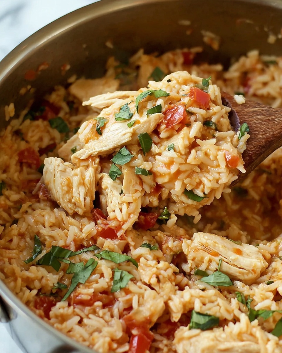 Easy One Pot Queso Chicken and Rice Recipe - Recipe Image